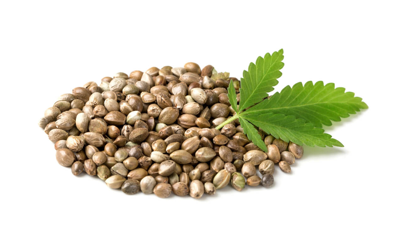 How to buy marijuana seeds