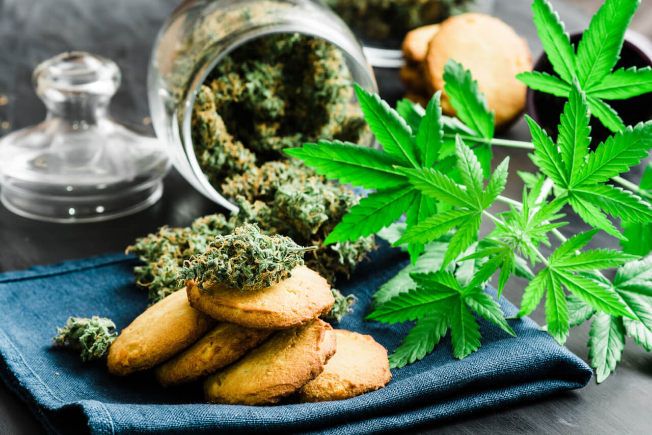 Everything you need to know about marijuana edibles