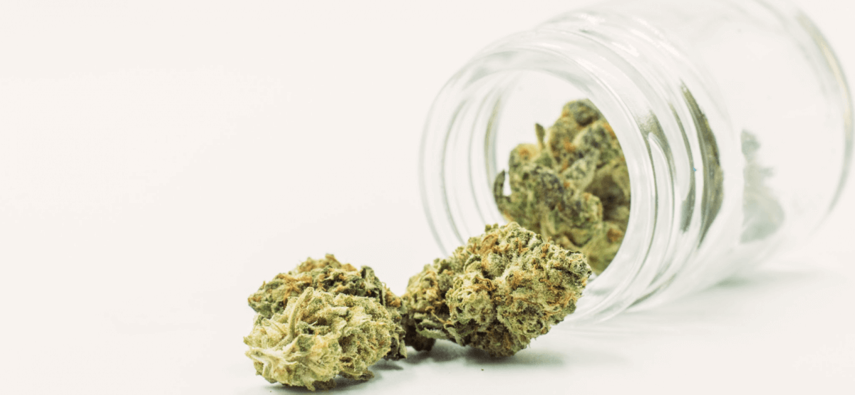 The Best Medical Marijuana Strains