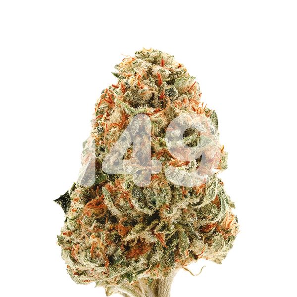 Buy Feminized OG Kush Seeds For Sale Online | i49 USA