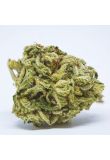 Big Bud Fem Preview
