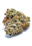 Gelato Reg Preview