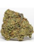 Bruce Banner x Carmen Fem Preview