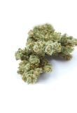 Pure Haze Fem Preview