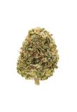 Lemon Tree Fem Preview