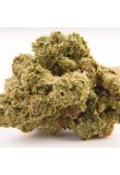 Triangle Kush Fem Preview