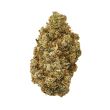 Alien OG Fem Preview