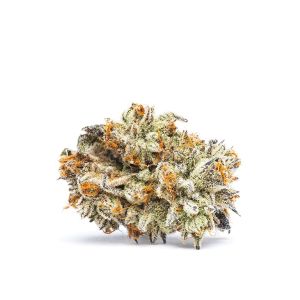 Gorilla Glue 5 fem [ApeOrigin] : cannabisseeds