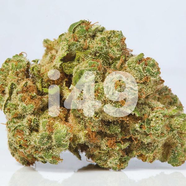 Girl Scout Cookies X Blue Head Band 