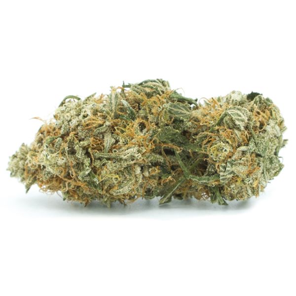 Auto Blue Cheese Strain Seeds 