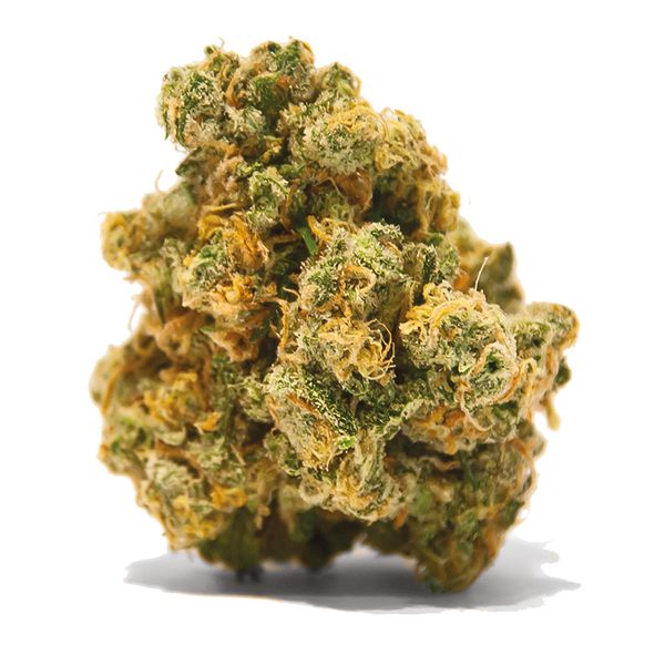 Lemon DIesel Seeds 