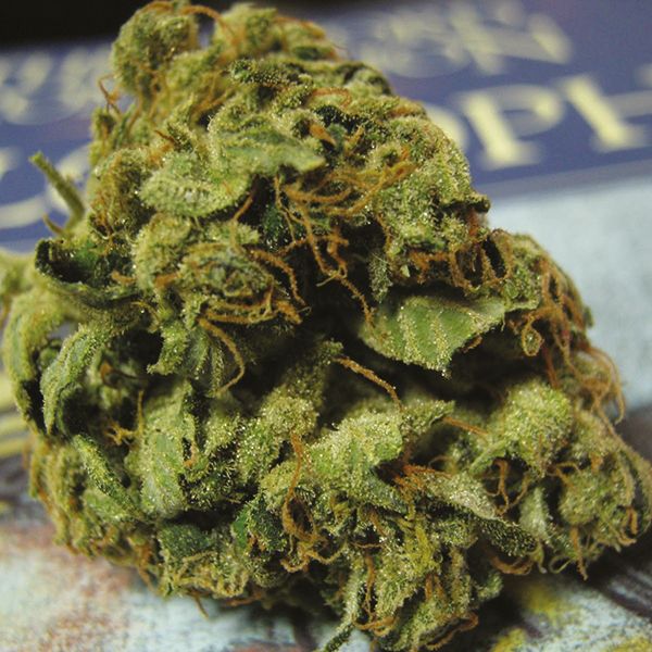 Diesel Strain Seeds 