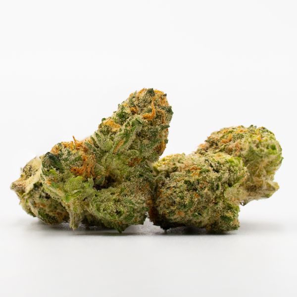 Auto Amnesia Kush Fem