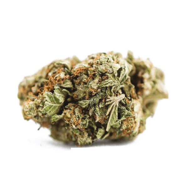 bruce banner seeds 