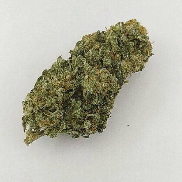 Auto Haze Fem Auto Haze Fem