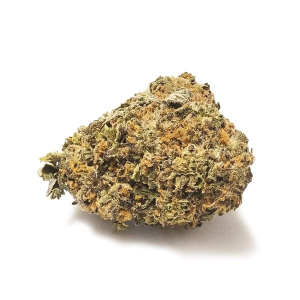 Buy CBD Candida Strain Seeds Online 