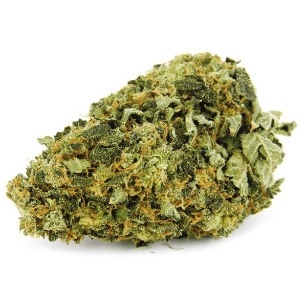 Hindu Kush Fem Hindu Kush Fem