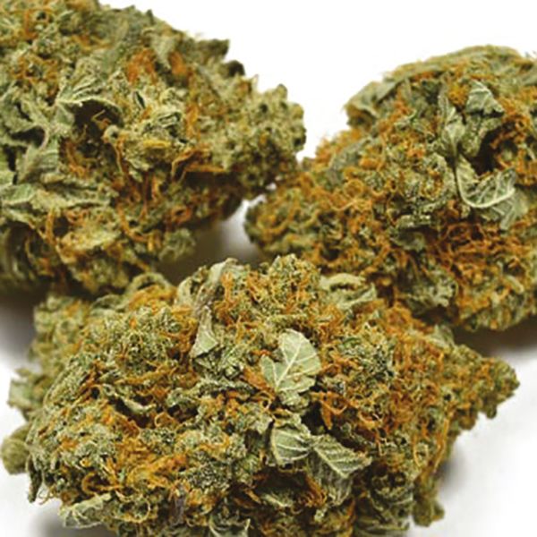 Blue OG Fem Blue OG Fem