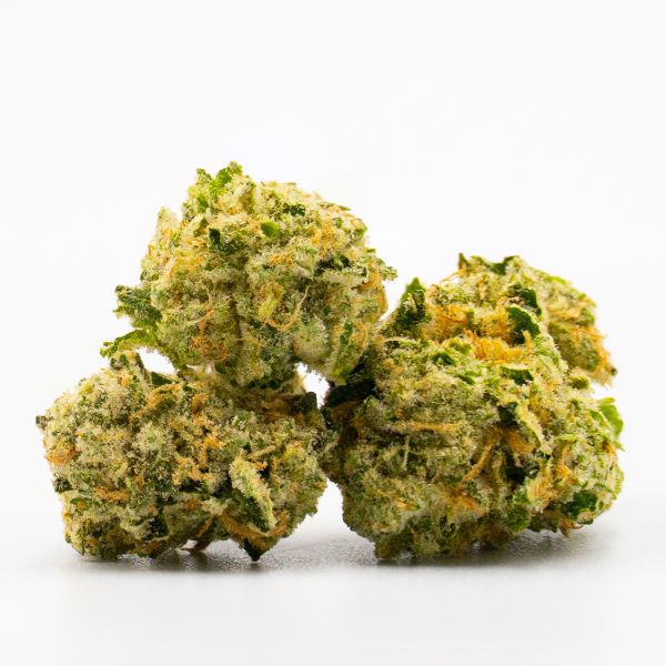 Bruce Banner 2.0 Fem