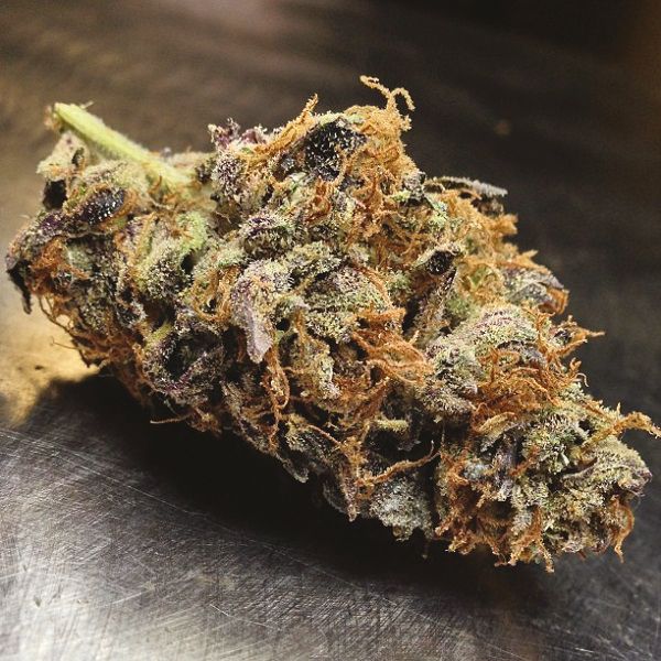 Black Water Purple OG Cheese Fem