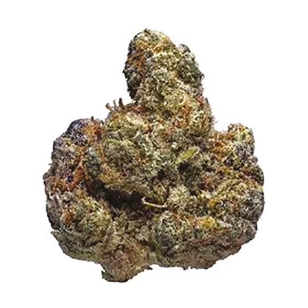 Auto Blueberry Jack Herer USA 