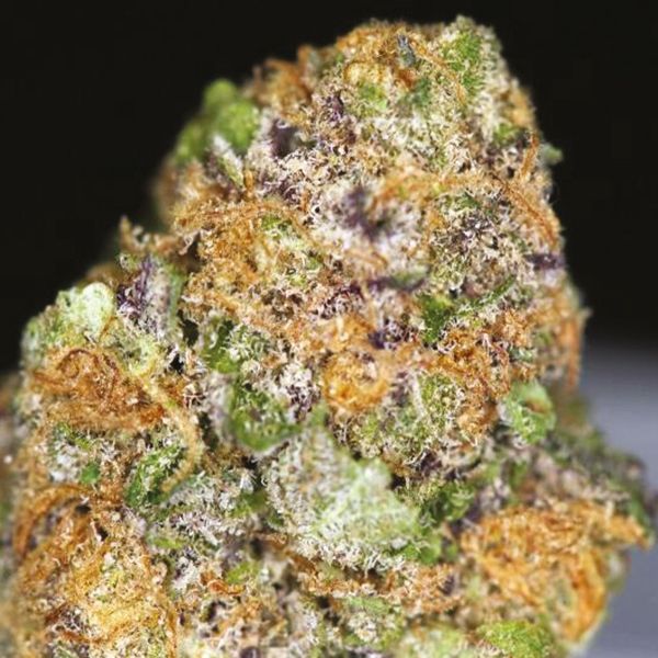 Grape Ape Fem Grape Ape Fem