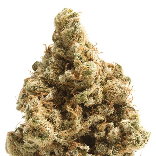 LSD Weed Seeds 