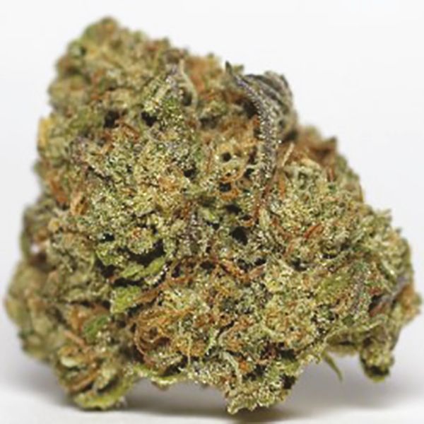 Buy Bruce Banner x Carmen Seeds For sale 