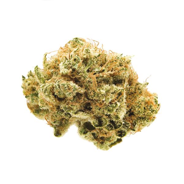 Buy Banana Punch Strain Seeds in the USA