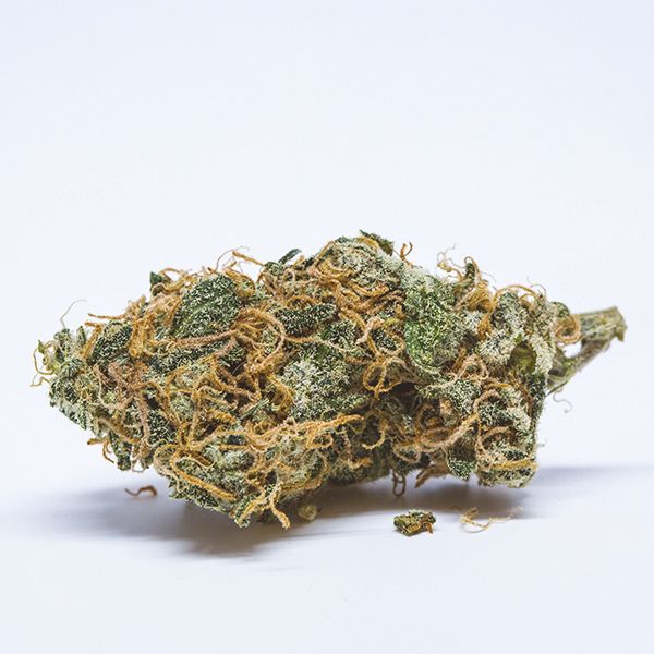 Lemon Pie Strain Seeds USA 