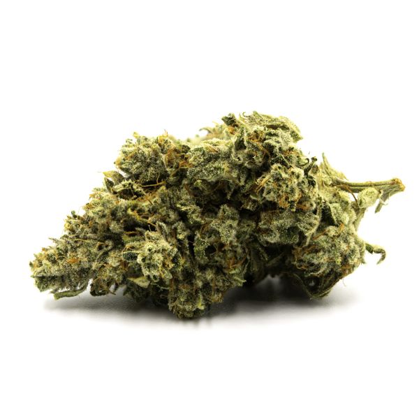 OG Kush Reg OG Kush Reg