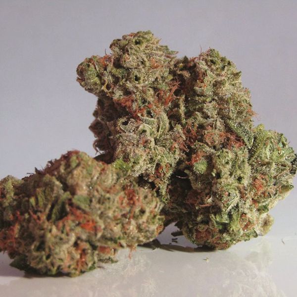 Auto Strawberry Cheese Fem Auto Strawberry Cheese Fem
