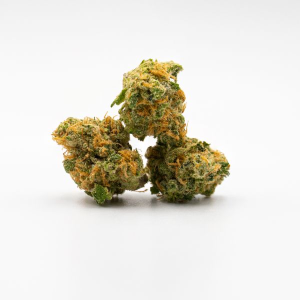 Northern Lights #10 Fem