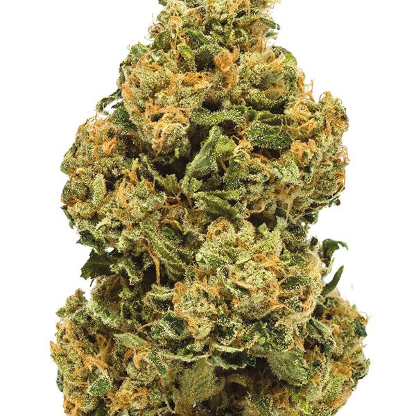 Chemdog Strain Seeds 