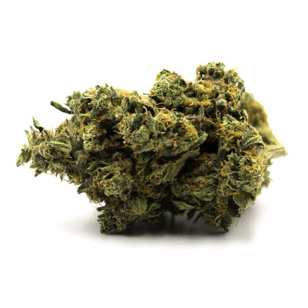 CBD Strawberry Kush Fem