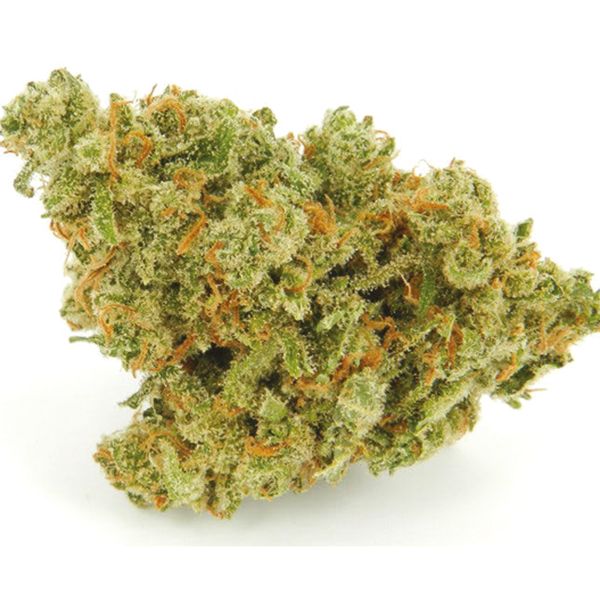 Buy Cinderella99 Lemon Pie Strain Seeds in the USA 