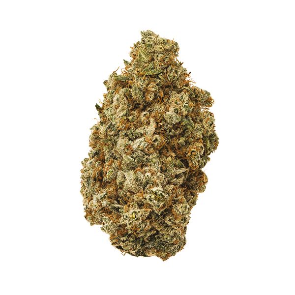 Alien OG Fem Alien OG Fem