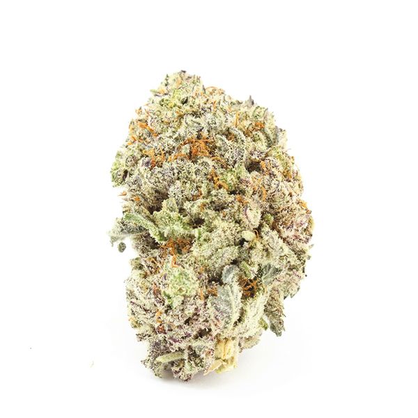 Grapefruit Fem Grapefruit Fem