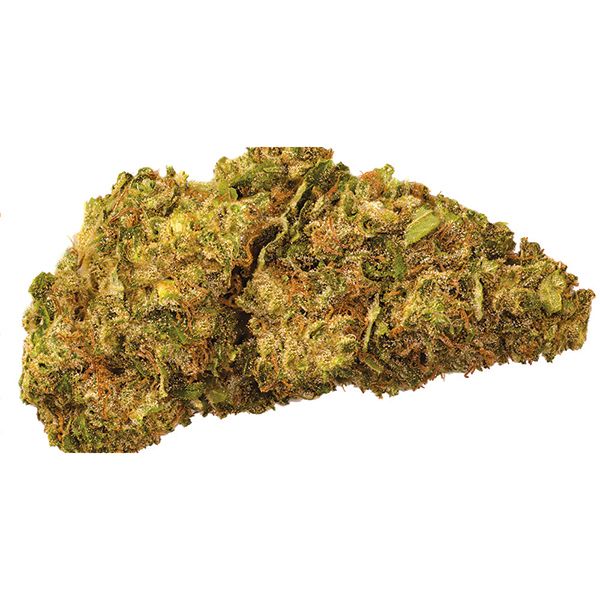 Alien Technology Seeds 