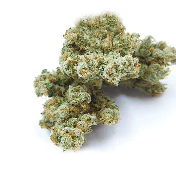 Pure Haze Feminized Seeds for sale 