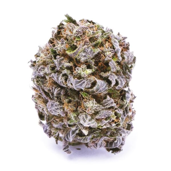 Blue Haze Fem Blue Haze Fem