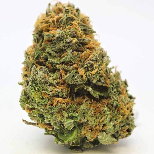 Auto Cheese Strain 