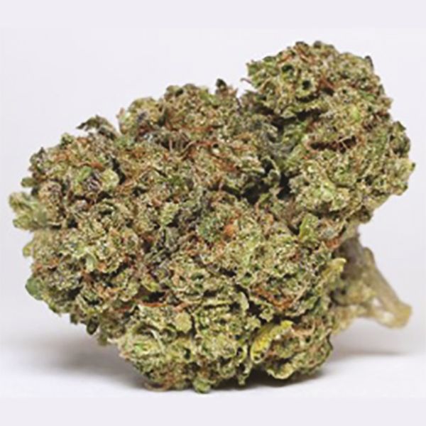 Bruce Banner x Carmen Fem Bruce Banner x Carmen Fem