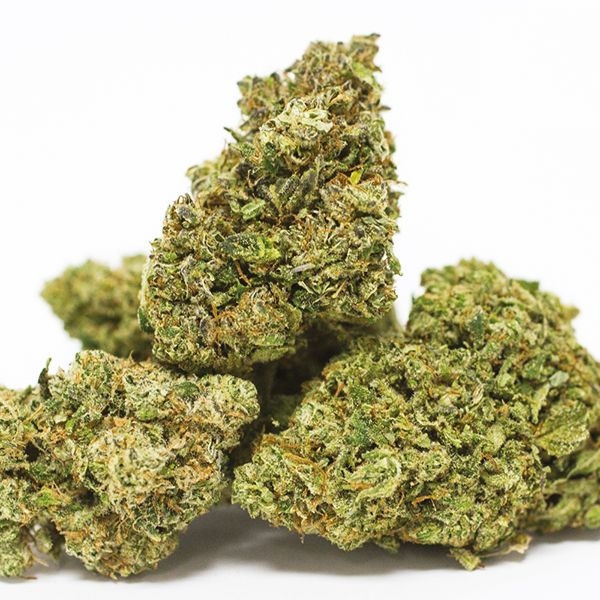 buy OG kush seeds online 