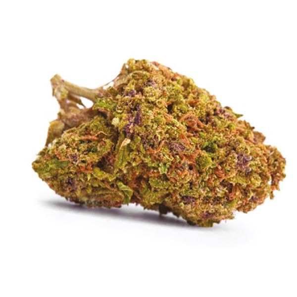 California Dream Strain 