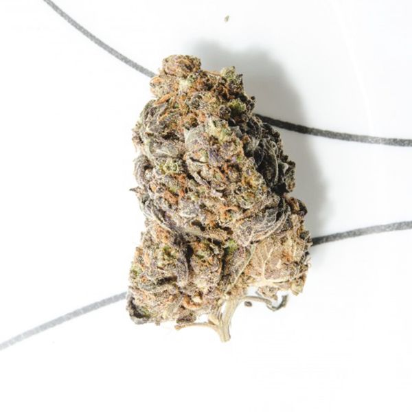 Blue Amnesia Auto 