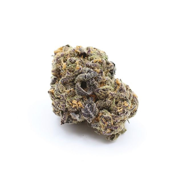 Zombie Death Fuck Fem