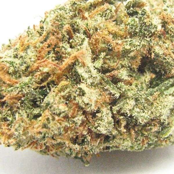 Auto Blueberry Lemon Haze USA 