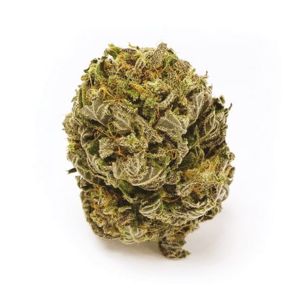 Auto Amnesia Haze Fem