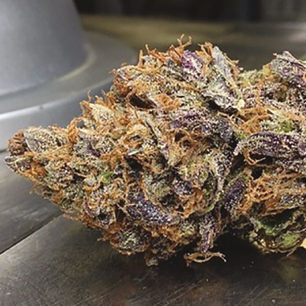 Black Water Purple OG Cheese Fem